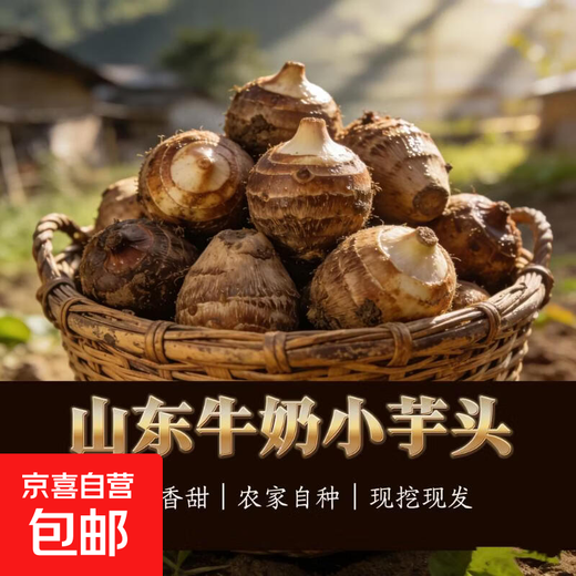 Authentic farmhouse Shandong milk taro fresh fragrant taro freshly dug taro reduced fat low calorie fragrant waxy small milk taro milk taro with box 5Jin Jin equal to 0.5 kg