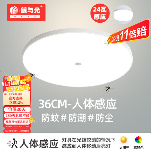Whale and Light Ultra-thin Tri-Proof Lamp Sensor Light Explosion-Proof Lamp Anti-mosquito LED Lighting Corridor Light Human Body Radar Sensor Light Voice Control Lamp Tri-Proof Lamp 36CM Human Body Sensing 24W