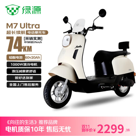 Luyuan Double 11 Yearning Life Recommendation Electric Motorcycle M7ultra Continued 74km-60V20AH-5 lead-acid batteries-1000W Household Scooter White