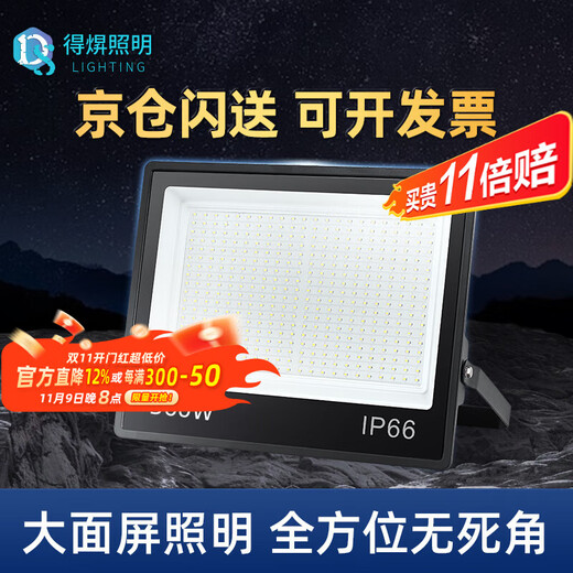 Deyan led floodlight outdoor lighting waterproof outdoor spotlight industrial lighting high power factory street light 300W-white light high brightness model