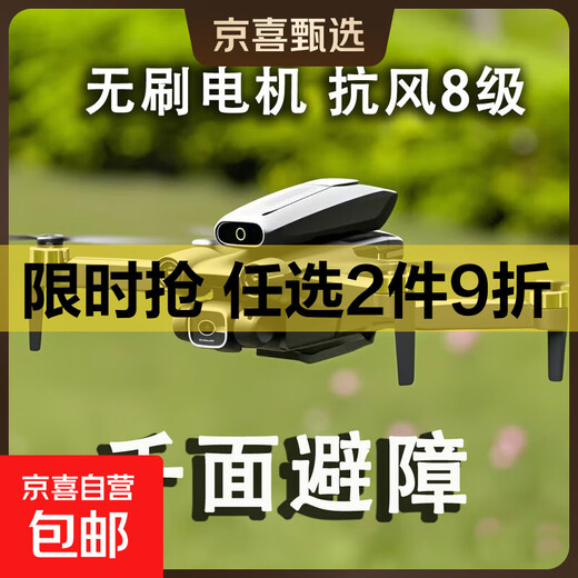 Drone de photographie aérienne professionnel haute définition sans balais, longue durée, transmission d'images en temps réel pour adultes, quadricoptère de retour en vol sans balais, avion télécommandé, jouets pour enfants, cadeau d'anniversaire, moteur sans balais, forte résistance au vent, évitement d'obstacles, photographie aérienne à double caméra, grand œil, version de vol fluide, trois batteries + ligne de charge multiple, femme de ménage + accessoires + sac de rangement