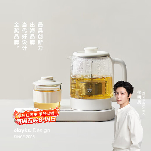 Olayks instant mini health pot teapot tea maker office heating thermostat coaster small kettle steam spray 0.8L OLK-TK01