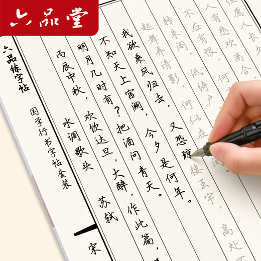 Liupintang 10-pack pen calligraphy practice calligraphy adult cursive set hard pen calligraphy copying practice calligraphy regular script student copybook Chinese classics