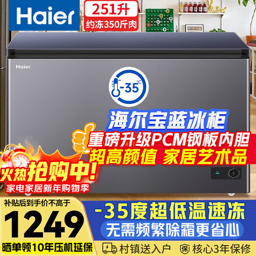 海尔（Haier）宝蓝251升单温冰柜家用小型-35度超低温大容量无需频繁除霜300升以下冷冻柜BC/BD-251GHPCZ补贴