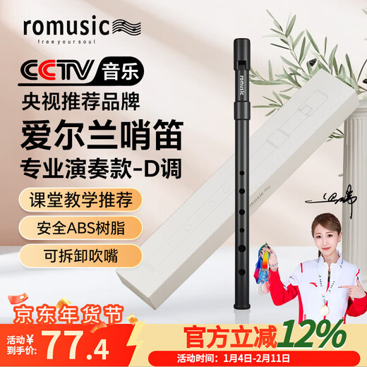 Romusic Irish whistle D-key ABS resin tin flute six-hole recorder beginner student teaching professional playing recorder flute