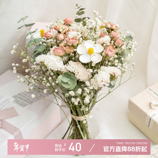 AIMAN Starry Little Roses Forget-Me-Not Dried Flower Bouquet Ins Style Home Furnishings Room Living Room Decoration Furnishings Lover Romantic Little Roses Full of Stars