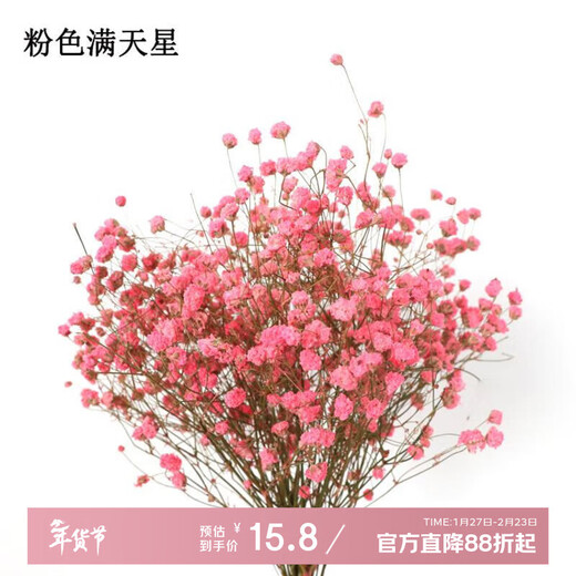 AIMAN (AIMAN) ins air-dried flower bouquet home furnishings small fresh living room flower arrangement internet celebrity decoration baby's breath eternal flower a handful of pink baby's breath dry branches