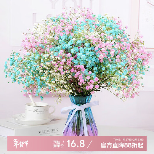 AIMAN Gypsophila natural dried flower bouquet ins internet celebrity birthday new house decoration ornaments air-dried real flower arrangement home furnishings blue + white + pink Gypsophila without vase