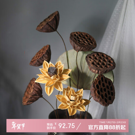 AIMAN dried lotus flower bouquet lotus lotus real flower Zen style air-dried Chinese flower arrangement living room decoration ornaments to attract wealth Set of 10 (with jar)