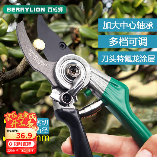 BERRYLION garden shears, household branch shears, pruning shears, branch shears, fruit branch grafting shears, flower tree shears, potted plant pruning shears, gardening shears