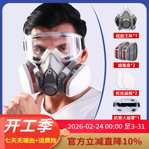 Gas mask toxic gas spray paint anti-smoke mask dust mask anti-industrial dust advanced full face protection toxic chemical gas 6200 dust-proof gas mask + anti-fog large eye mask