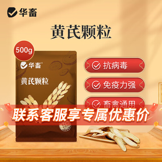 Huazhu Veterinary Astragalus Polysaccharide Crude Extract Cold Pig Cattle Sheep Chicken Virus Immunity Feed Additive 1 Bag Buy 2 Song 1 Astragalus Granules 500g