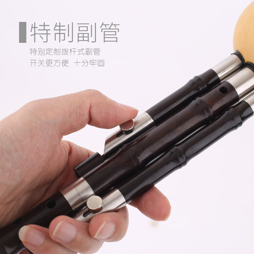 Julang Special gemacht von Julang Ebony Ebony Hulusi B Flat Musical Instrument Professional Performance Set (D C B Flat G F in insgesamt 5 Melodien mit Setbox)