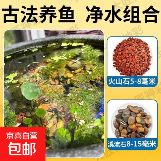 Natural volcanic stone stream stone fish tank decoration package, native landscaping bottom sand, special gravel for garden fish farming, medium size 2 Jin Jin is equal to 0.5 kg, volcanic stone + 2 Jin Jin is equal to 0.5 kg, stream stone + 1 thickened packaging bag, ancient landscaping combination, stable water quality + adsorption of impurities
