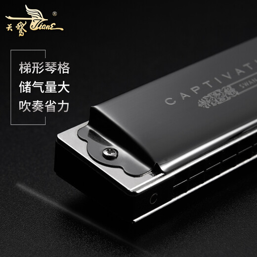 Swan polyphonic harmonica 24-hole beginners playing musical instruments for beginners in school season gift Jazz black