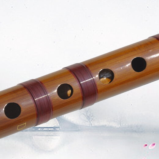 
Mr. Guanzi flute Mr. Guanzi professionally performs the refined double insert two-section bitter bamboo flute horizontal flute instrument for beginner grade children G tune