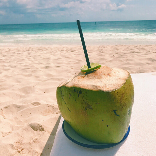 Xirou Hainan Coconut Green Coconut with Skin Green Coconut Fresh Coconut Water Coconut Juice Fruit Healthy Drink for Pregnant Women Freshly Picked Green Coconut with Skin 4 Pack