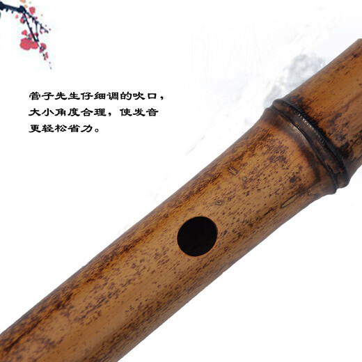 管子先生专业五节紫竹笛子演奏横笛成人初学考级古风乐器 C调