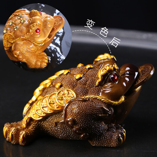 Xiangye Golden Toad Color Changing Tea Pet Ornament Pixiu Tea Kung Fu Tea Set Tea Ceremony Accessories Tea Table Tea Tray Tea Art Lucky Creativity Medium Color Changing Golden Toad