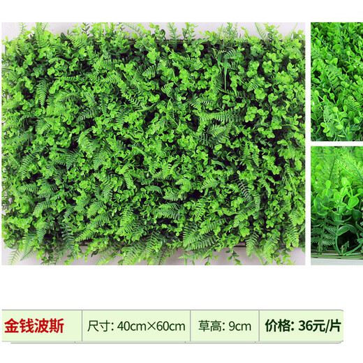 Win the show, simulated plant wall, green plant wall background wall, green simulated plant mall advertising door head artificial decoration, money Persian 40*60CM piece