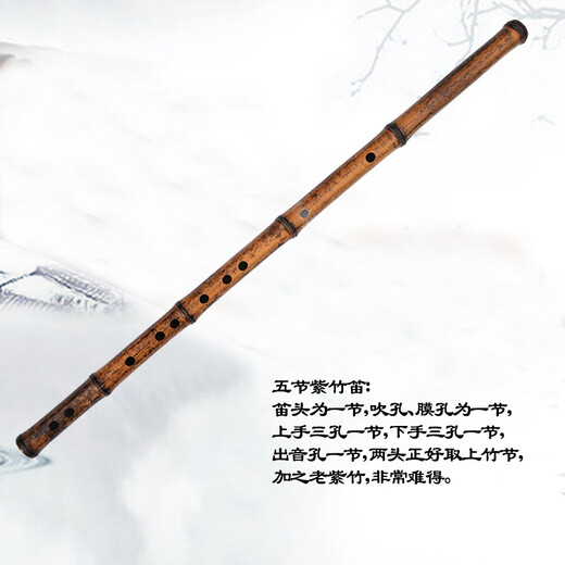 管子先生专业五节紫竹笛子演奏横笛成人初学考级古风乐器 C调