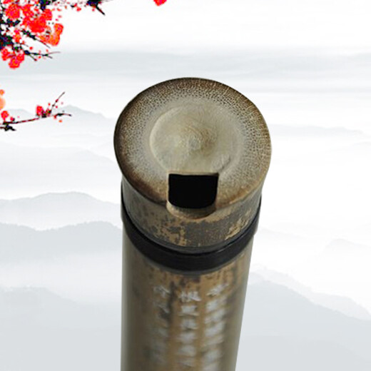 管子先生一节精品紫竹洞箫手工八孔紫竹箫成人初学入门演奏素箫洞萧民乐器 一节八孔G调正手（适合初学）