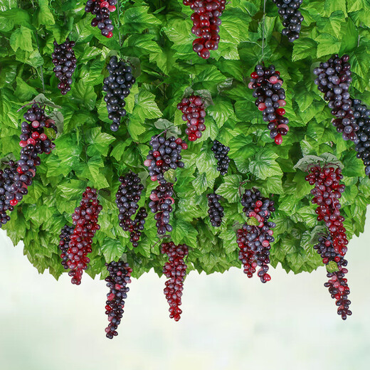 Zhengba Fake flower rattan simulated grape leaves decorative rattan leaves green plants wall-mounted pipes to cover the roof ceiling vines 12 packs of 81 green ivy leaves