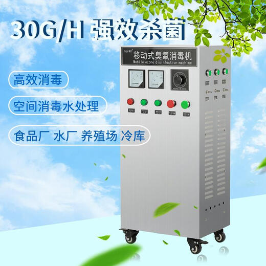 Fogha CYJ1630A-Y 30G ozone disinfection machine ozone generator food factory workshop disinfection farm ozone machine sterilization water