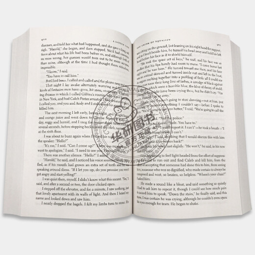 英文原版 小生活 A Little Life 渺小一生 进口文学小说