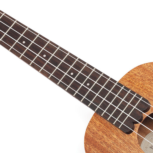 
Tom Ukulele Nalu series adult children beginner spruce mahogany Uklili small guitar 23-inch N520C [Mahogany] original soundtrack