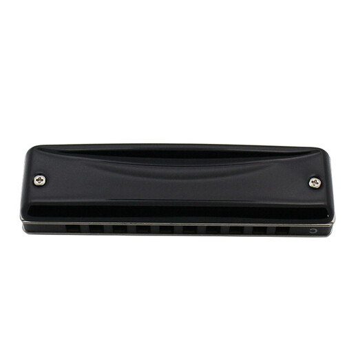 
SUZUKI Suzuki Japan imported HA20 high-end performance 10-hole blues harmonica ten-hole metal geal paint cover C-tune-common modular
