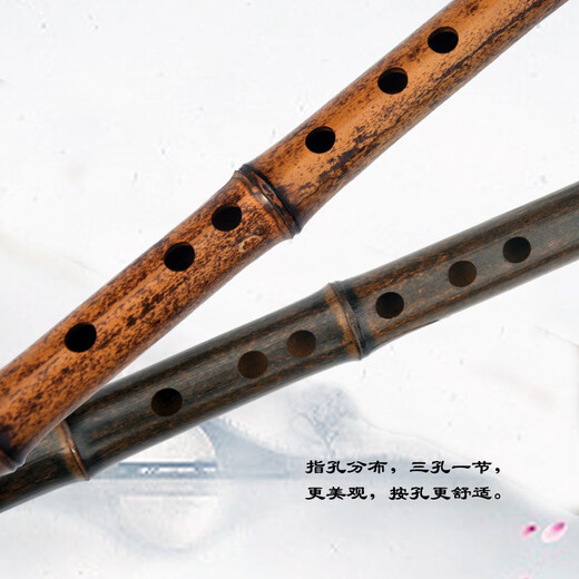 管子先生专业五节紫竹笛子演奏横笛成人初学考级古风乐器 C调