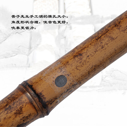 管子先生专业五节紫竹笛子演奏横笛成人初学考级古风乐器 C调