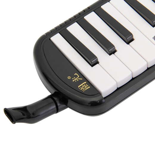 Guoguang 37-key teaching recommended classroom designated organ black (canvas soft packaging/playing instructions)