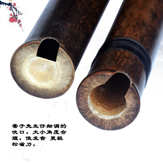 Mr. Guanzis professionelles lila Bambus feine kurze Flöte acht Lochflöte Mini Xiao Anfänger Musikinstrument mit acht Loch G -Einstellung Vorhand + Flötenrohr