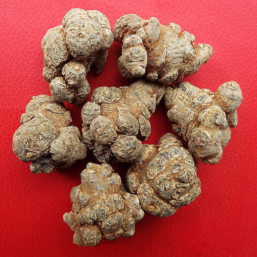 
Wenshan Panax notoginseng, direct supply of base 20 heads Panax notoginseng 500 grams