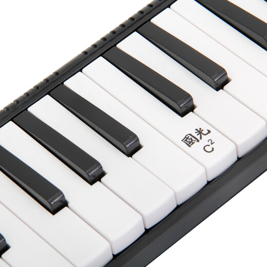 Guoguang 37-key teaching recommended classroom designated organ black (canvas soft packaging/playing instructions)