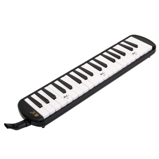 Guoguang 37-key teaching recommended classroom designated organ black (canvas soft packaging/playing instructions)