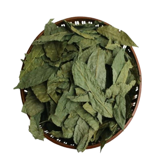 Qingqian Liu Qingqian Liu Yuanye 500G