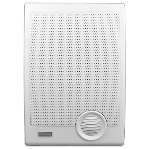 LINGSHENG 570 wall-mounted audio classroom speaker campus public broadcast system shopping mall supermarket store background music speaker wall-mounted speaker package 2 (50 watt amplifier + 3 570 audio)