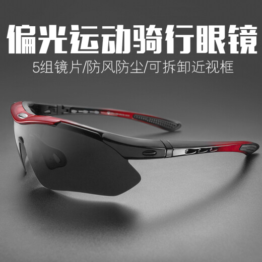 Rock Brothers (ROCKBROS) polarized color-changing cycling glasses for myopia men and women outdoor sports running wind-proof and sand-proof cycling equipment (5 lenses polarized) classic bright black