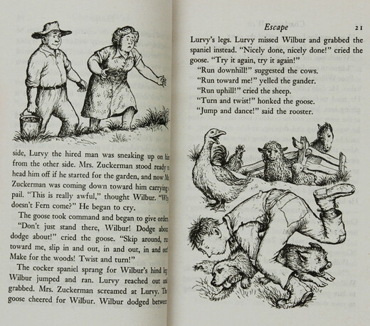 Charlotte's Web 夏洛的网 英文原版 夏洛特的网 英版B怀特小猪威尔伯