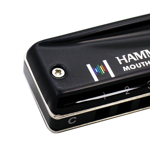 
SUZUKI Suzuki Japan imported HA20 high-end performance 10-hole blues harmonica ten-hole metal geal paint cover C-tune-common modular