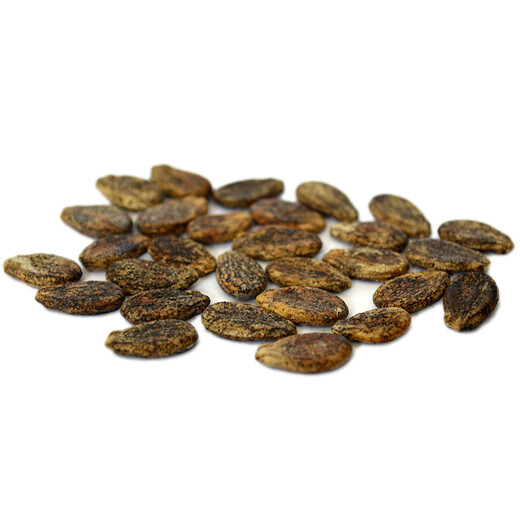Zhongke Maohua Melon Fruit Seeds Xincheng No. 5 Watermelon Seeds Jincheng Five Desert Sun-sanded Watermelon Seeds Inner Mongolia Ningxia Stone Melon Seeds 10 grams about 85 seeds