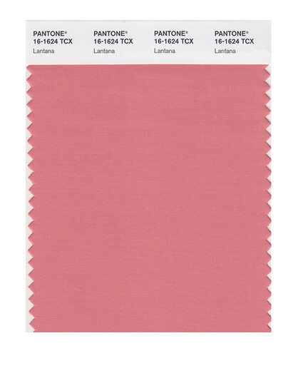 Pantone Ropa y muebles para el hogar 16-1511 a 16-1640TCX Versión de algodón Tarjeta de color individual 16-1624x