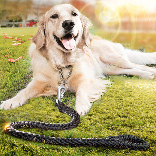 Dogstory Dog Rope Medium Dog Large Dog Leash Golden Retriever Dog Walking Rope Dog Chain Large Dog Collar Black Medium (15-38Jin Jin is equal to 0.5kg)