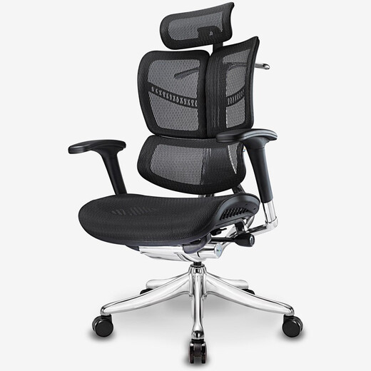 Ergomax Evolution Ergonomics Computer Silla de malla Mesh Silla de oficina en casa Silla E-Sports Silla de juego Negra