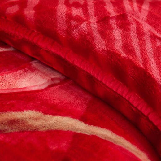 
Antarctic Rasher blanket thickened in winter warm single quilt nap blanket double wedding cover blanket available velvet blanket CC-653 Dahong 150*200cm about 5 Jin [Jin equals 0.5 kg]