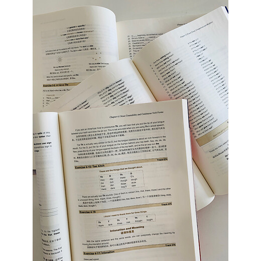 New Oriental Flagship Speak Correct Spoken English Grammar Book für American Music Masters (US) Ann Cook New Oriental English