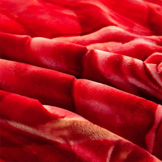 
Antarctic Rasher blanket thickened in winter warm single quilt nap blanket double wedding cover blanket available velvet blanket CC-653 Dahong 150*200cm about 5 Jin [Jin equals 0.5 kg]